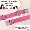 ADITYNA - Pink Leather Dog Collar with Metal Buckle for