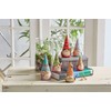 Enesco Jim Shore Heartwood Creek Gnome Holding a Butterfly Figurine,