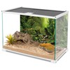 AWERT Tropical Forest Terrarium Background Stream Green Huge Tree Reptile