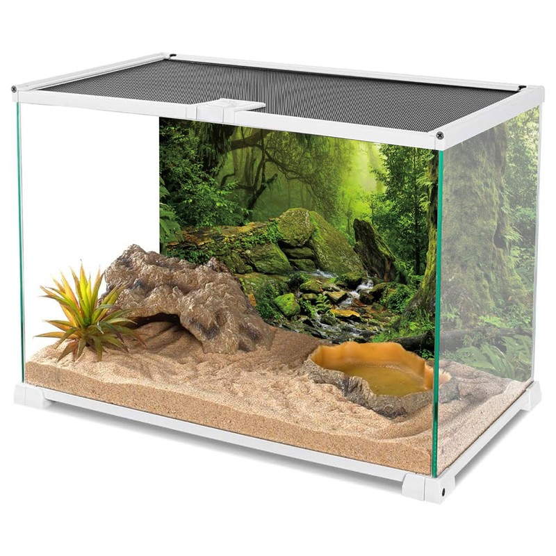 AWERT Tropical Forest Terrarium Background Stream Green Huge Tree Reptile