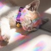4 Sheets Anti Collision Window Clings, Rainbow Reflection Window Sticker