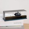 Black Pearl Pirate Ship in a Bottle - Boat in