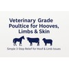 VetSet PolDress Horse Hoof Poultice (3-Pack) | Vet-Approved Hoof &