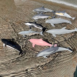 Safari Ltd. Dolphin TOOB - 10 Miniature Dolphin Figurines - Educational Toy Set for Boys, Girls and Kids Ages 3+