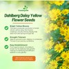 Outsidepride Dahlberg Daisy Seeds for Planting – 10000 Pcs Annual,