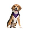 Be Kind I'm Blind Dog Bandana, Purple Dog Bandana, Blind