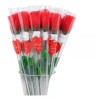 KH Rosa Con Osito Regalo San Valentin 12pz Mayoreo Dia