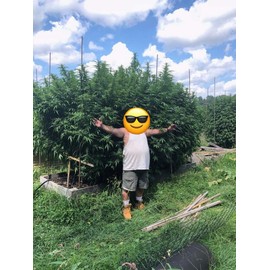 Wow Soluble DS-80 Humic and Fulvic Acid Organic Fertilizer (10 Pound)