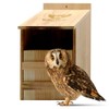 Owl House Cedar - Prebuilt Barn & Screech Owl Nesting