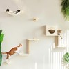 FUKUMARU Cat Wall Shelves, 5-Piece Stable Wooden Wall-Mounted Furniture Set,