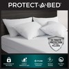 Protect-A-Bed AllerZip Standard 20" x 26" Pillow Protectors (Set of