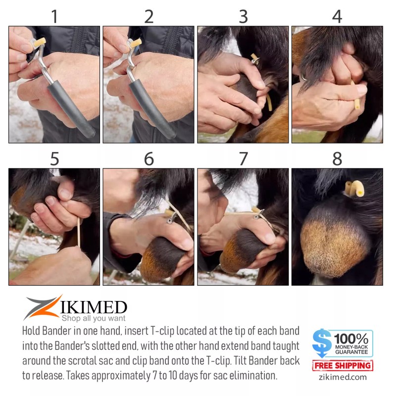 zikimed California Bloodless Castration Stainless Steel Bander & Bands (25