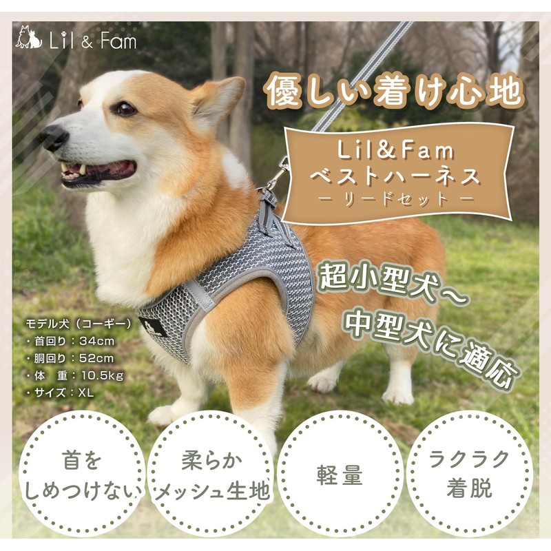 Lil&Fam Dog Harness, Torso Leash Set, Gentle on the Body,