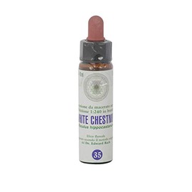White Chestnut Nr. 35 Princeps Fiori di Bach Originali Gocce Castagno Bianco, 10 ml