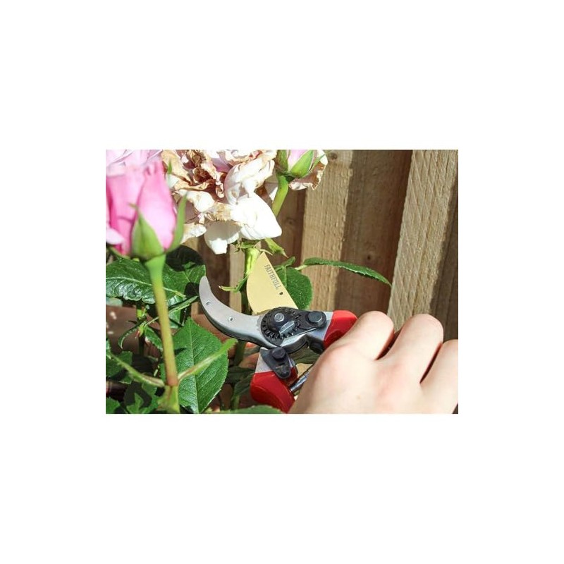 Faithfull FAICOUBYPRO8 Countryman Professional Bypass Secateurs - 215mm (8in)