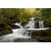 ART.COM Canvas Wall Art Prints Tennessee, Great Smoky Mountains National