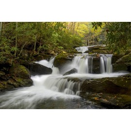 ART.COM Canvas Wall Art Prints Tennessee, Great Smoky Mountains National Park. Autumn Trees and Waterfall on the Little River by Judith Zimmerman, Places Decor, 18" x 12"