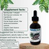 Ganesha Herbs SURAMAX Pine Needle Complex Formula Tincture - 2oz