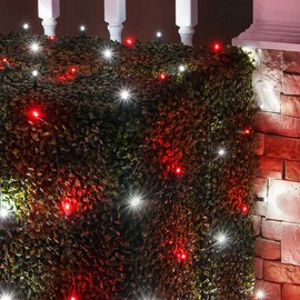 Wintergreen Lighting LED Red and White Twinkle Net Lights Outdoor LED Holiday Lights Net, Christmas Net Lights, Hedge Christmas Lights, Set of 100 (4 x 6 ft, 5mm Lights, Red/Pure White Twinkle)