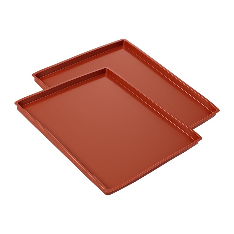 TAICHEUT 10 PCS Silicone Dehydrator Trays, 12 x 10 Inches