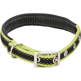 Westminster Pet 32758 Ruffin It ReflecTech Dog Collar