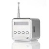 Portable TD V26 Digital Radio Speaker Mini FM Radio Receiver
