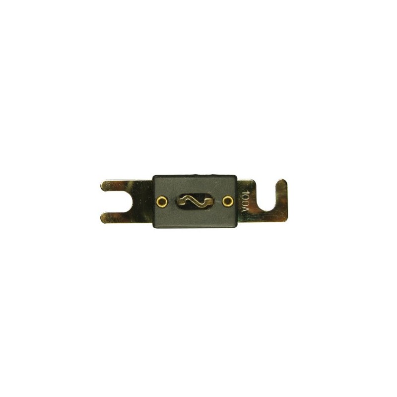 Celsus FA100 100A ANL Fuse