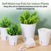 Meyeyaia 18 Pcs Self Watering Pots 3 Sizes Plastic Self