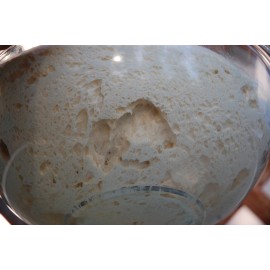 Unbranded extremely sour and active sourdough starter yeast THE BEAST