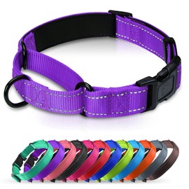Erbine Neoprene Padded Martingale Collar for Dogs, Reflective Soft Nylon with Quick Release Buckle, Adjustable Dog Martingale Collars for Training & Daily Use (Purple,M)