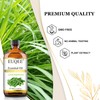 EUQEE Lemongrass Essential Oil 118ml Premium Lemongrass Oil with Glass