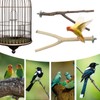 YHSKJCD 5 PCS Natural Wooden Parrot Stand Bird Perch Stand