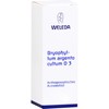 Bryophyllum Argento Cultum D3 Weleda Dil., 50 ml Solution