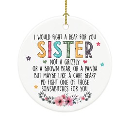 Funny for Sister Ornaments, Sister Birthday Gifts from Sister Brother, Sister Bear, Sister Christmas Ornament, Ceramic Plaque Birthday for Soul Sister