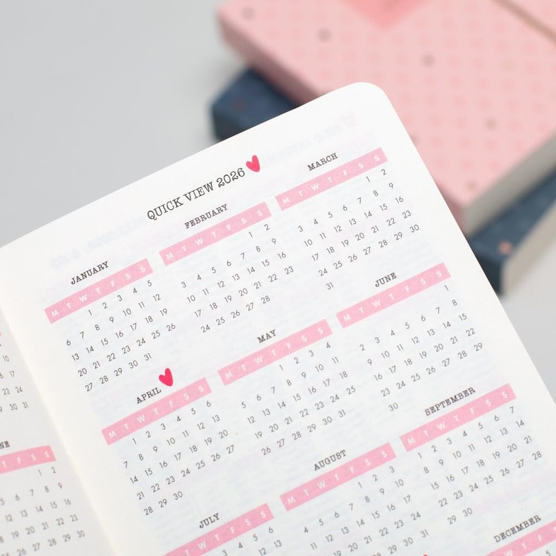 Matilda Moo 2025 diary | A6 diary | day on