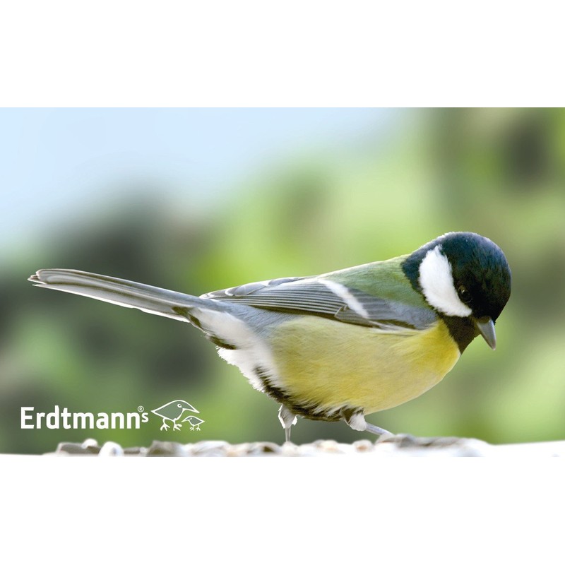 Erdtmanns 520300 Silohäuschen Oslo