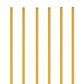 Champion Sports CK60 Coaching Sticks with Base