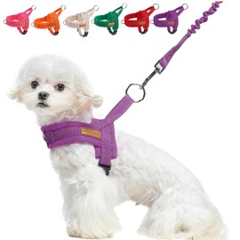 BEAUTYZOO Dog Harness for Small Dogs, No Pull Dog Harness and Leash Set, Soft Escape Proof Puppy Vest Harness with Handle, Reflective Lightweight Step in Harness for Girl Boy Dogs, Purple S