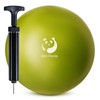 Slim Panda Pilates Ball 9 Inch with Air Pump, Non-Slip
