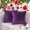 CXTAI 2x Purple Velvet Cushion Covers Decorative Square Throw Pillow