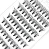 EyeEnvy Express Lash Extensions 'POP Like a Pro' Night Out