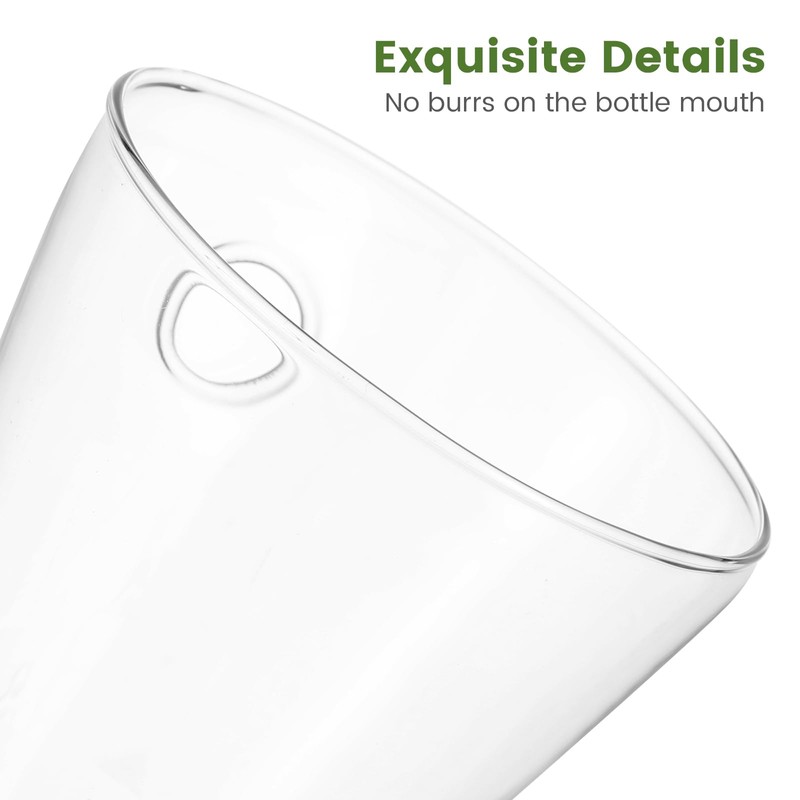 YARNOW 2pcs Clear Circular Cone Glass Wall Hanging Vase, 3.5