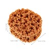 ibasenice Seaweed Tool 4.7 Inch Reusable Natural Sponge for Painting