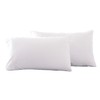 Microfiber Queen Bed Pillowcases 2 Pack, Super Soft Bed Pillow