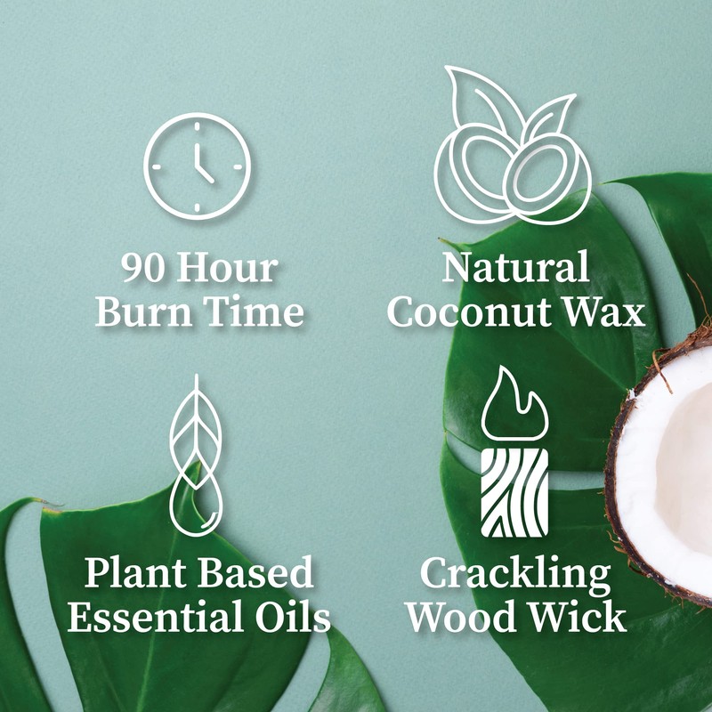 Hemlock Park Crackling Wood Wick Candle Handcrafted with Natural Coconut