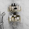 Corner Shower Shelves with 4 Hooks, 2-Tier Stainless Steel Bathroom