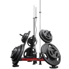Shape Fit Core Barbell Standard Plate Tree Storage 6-Racks - Dumbbell Weight Rack with 6 Weight Pegs, 660LBS Capacity & three Standard 1.1 Inch(28mm) Diameter Bar Holders (Model B6)