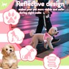 3Pcs Dog Harness and Leash Set, Mesh Pet Vest Set