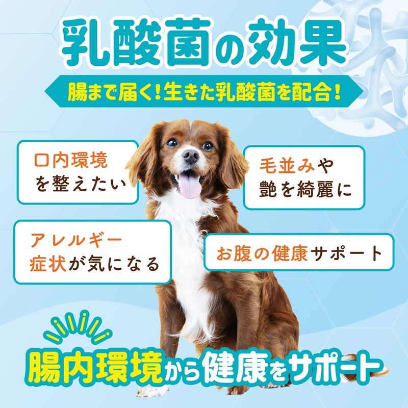【Veterinarian W supervised】Perfect One Care Lactobacillus Plus Supplement for Dogs