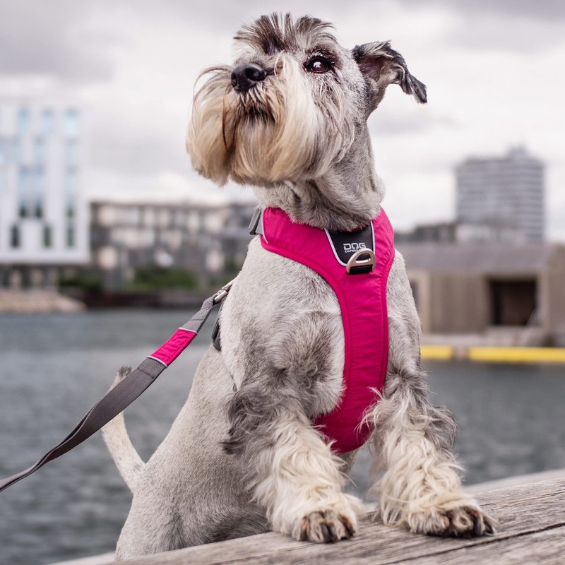DOG Copenhagen Comfort Walk Pro Harness, Classic Red, Size XS